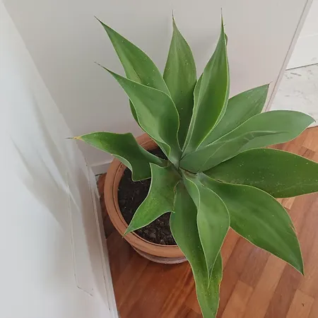 Falikrjda & Bed & Breakfast 3*