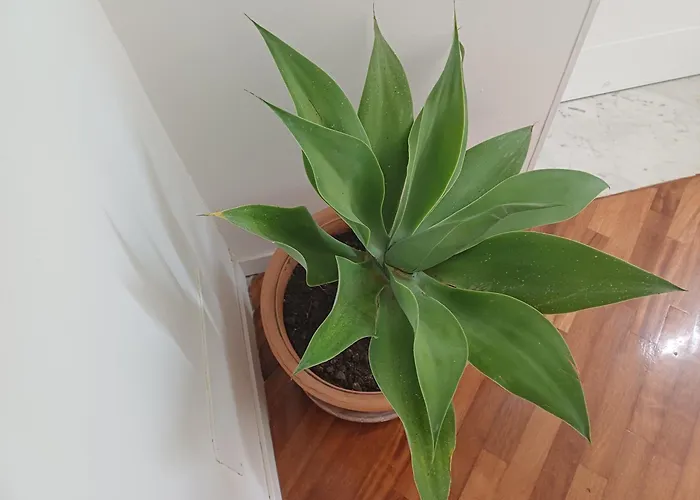 Falikrjda & Bed & Breakfast 3*